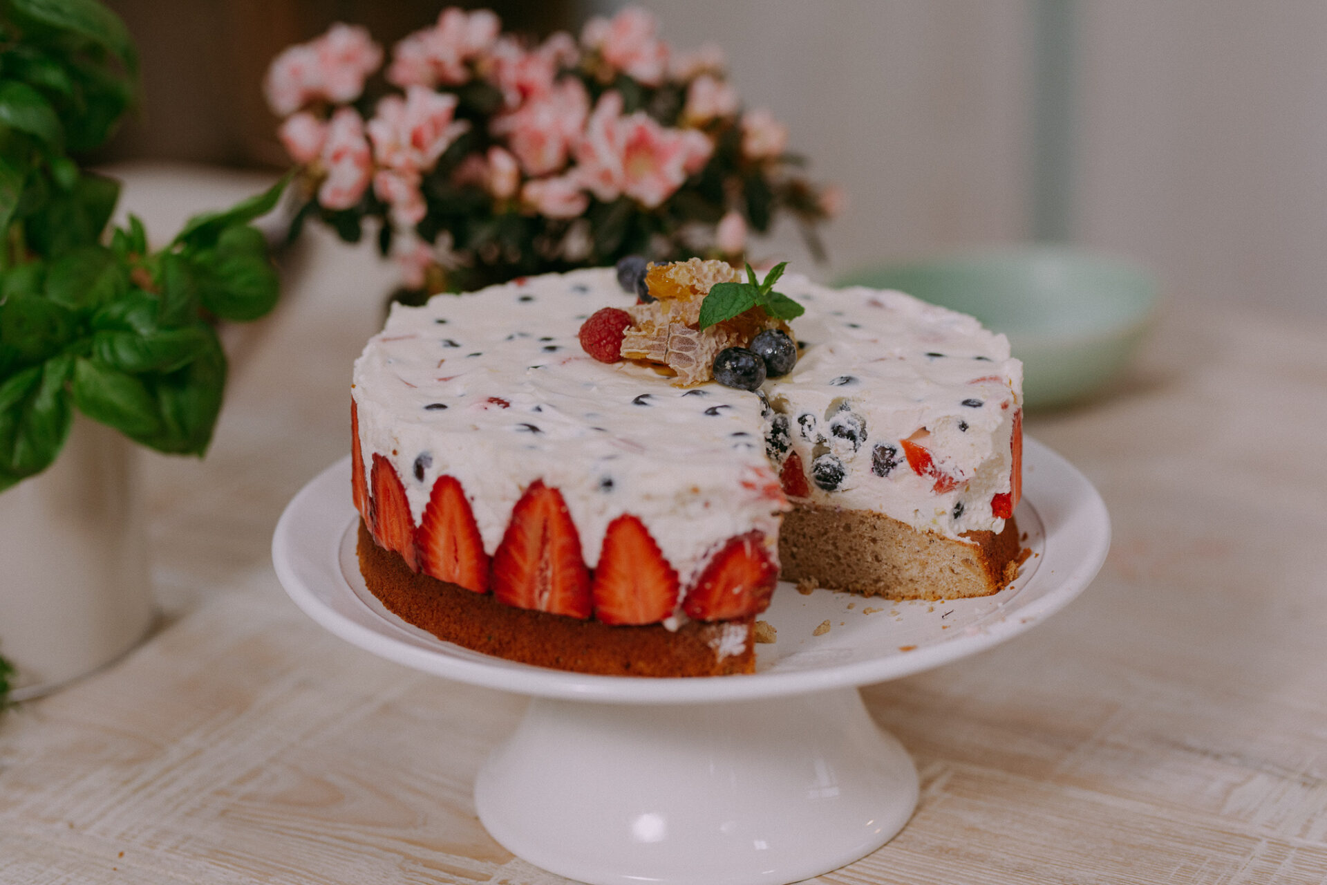 Vasarinis tortas &#8222;Medutis&#8221;