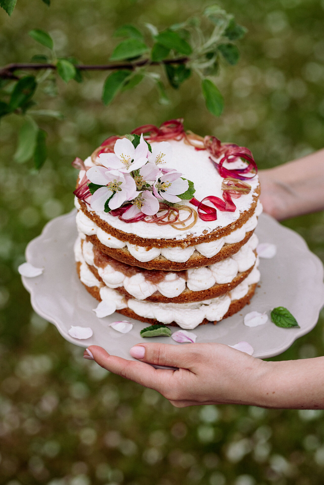 Tortas su rabarbarais ir varškės kremu